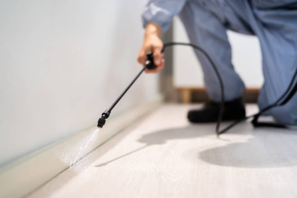 Licensed Termite Control service in Bloomingdale, IL - Nex Pest Control