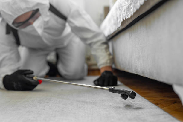 Professional Termite Control technician working in Bloomingdale, IL