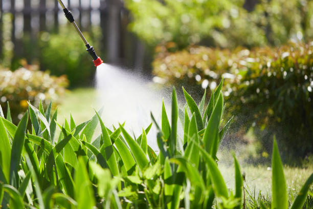 24/7 Emergency Termite Control experts in Bloomingdale, IL