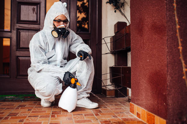Reliable Termite Control contractor in Bloomingdale, IL by Nex Pest Control