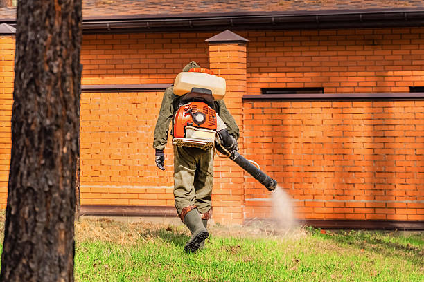 Trusted Emergency Pest Control service in Bloomingdale, IL - Nex Pest Control